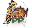 perfectedparticles.co.uk