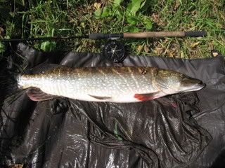 IMG_0159.jpg