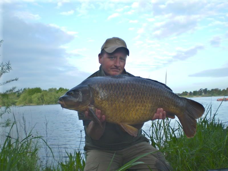 bigcarp.jpg