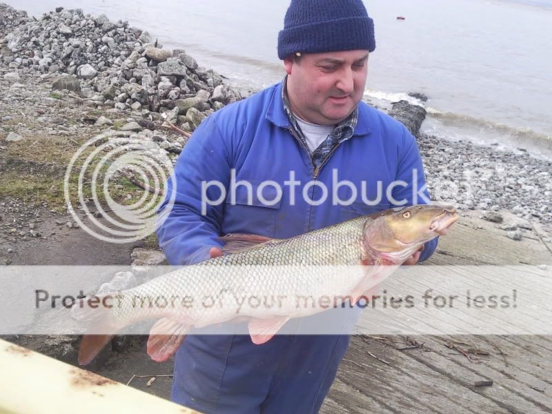 Saltwater Fish Cap -  UK