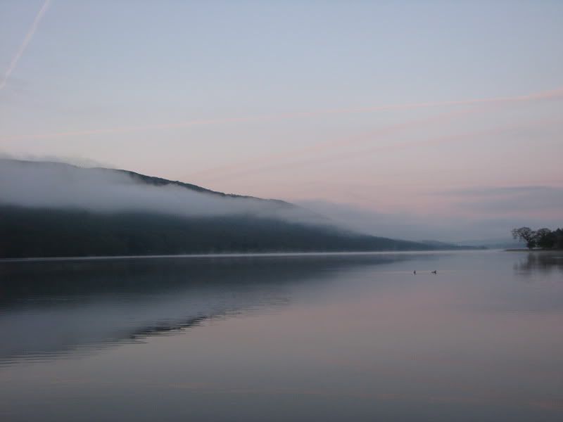 IMG_1735.jpg