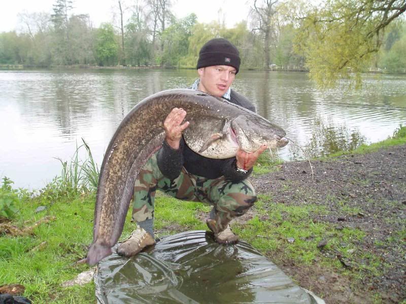 45lbCatfish.jpg