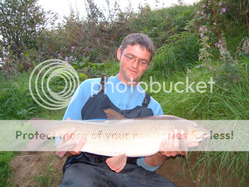 Barbel1-1.jpg