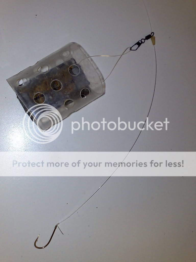 13022010823.jpg