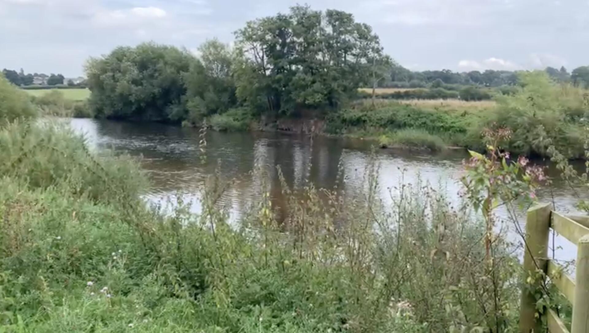 www.fisheries.co.uk
