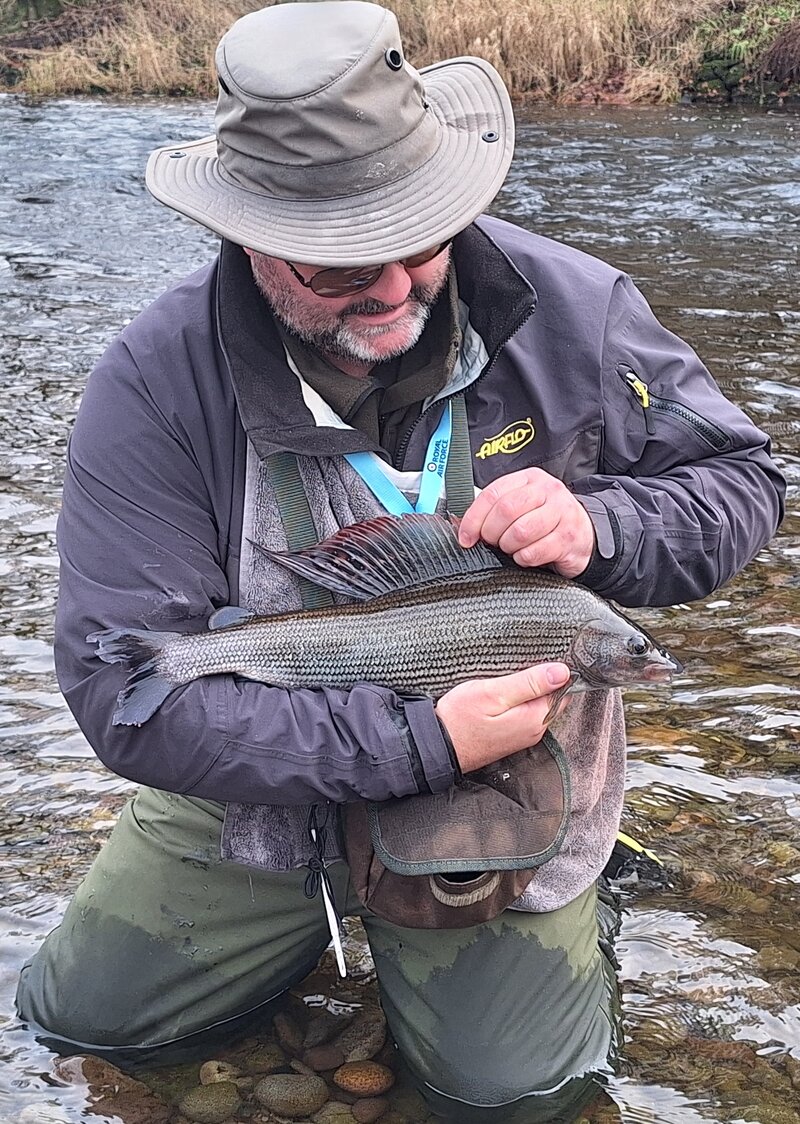 3lb Grayling AAAAAAA crop 1.jpg