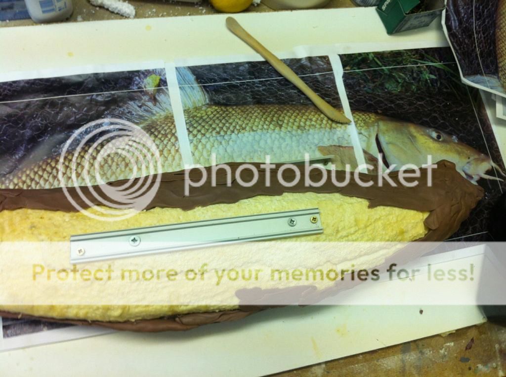 image-3_zpsisxa5cs_edit_1412196123608_zpsmvux8hms.jpeg
