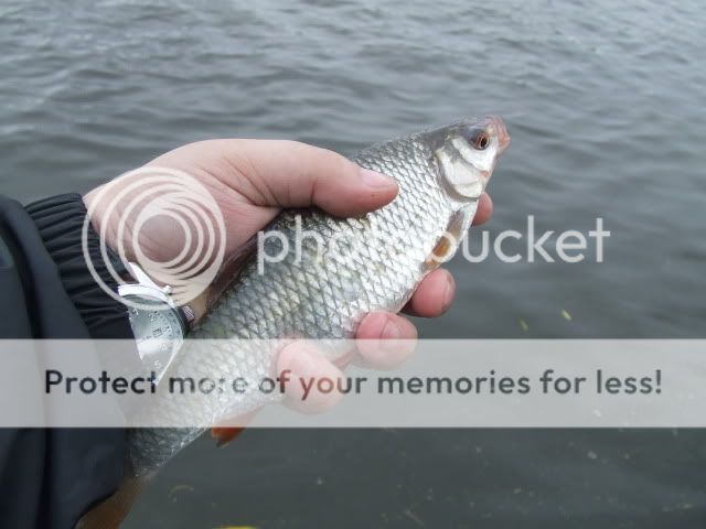 DSCF2665.jpg
