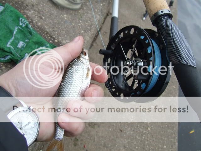 DSCF2668.jpg