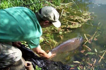 Maggots and How To Make The Most Of Them - by Keith Speer