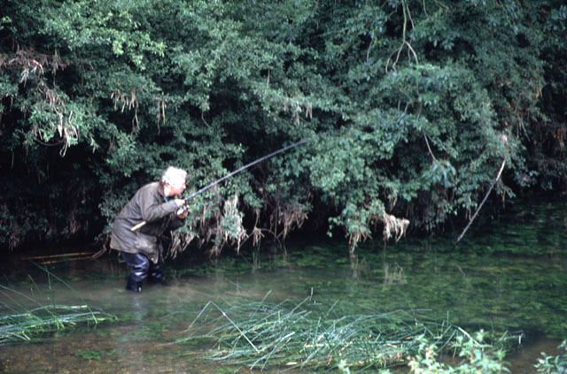 Prebaiting For Summer Barbel - by Tony Miles - Barbel Fishing World
