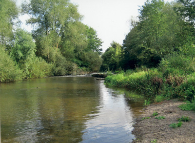 Barbel Fisheries