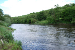 Barbel Fisheries