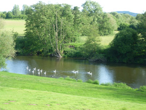 Barbel Fishing Accommodation Barbel Fishing World Accommodation