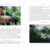 Sticklebacks to Throwing Sticks - Tom Banks - Image 3