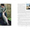 Sticklebacks to Throwing Sticks - Tom Banks - Image 2